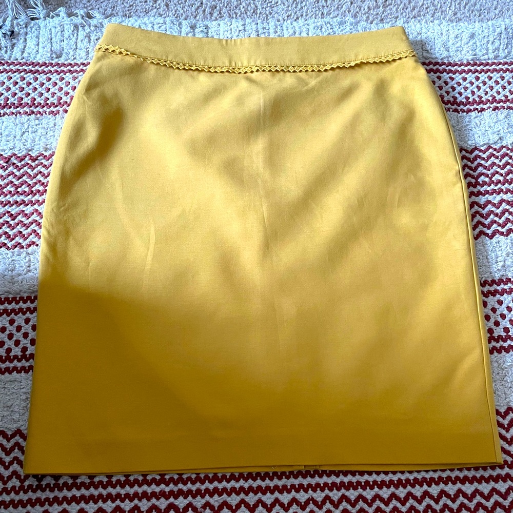 Ann taylor skirt